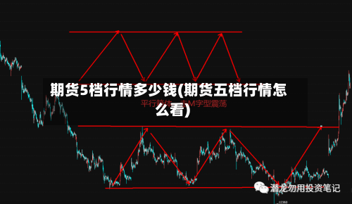 期货5档行情多少钱(期货五档行情怎么看)-第3张图片
