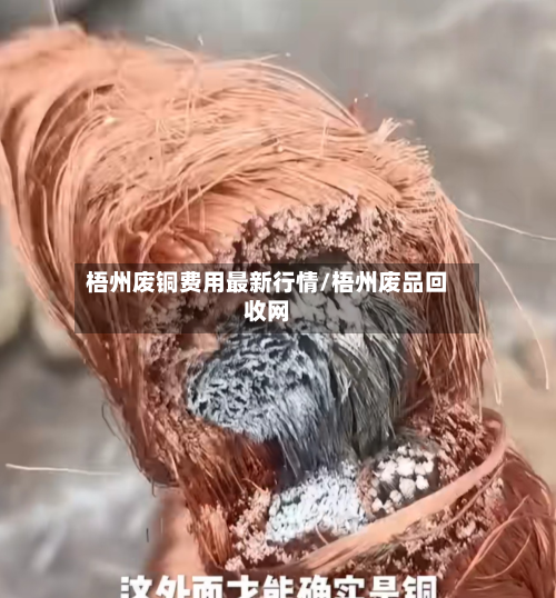 梧州废铜费用最新行情/梧州废品回收网
