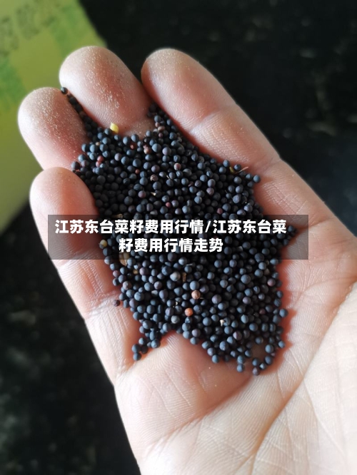 江苏东台菜籽费用行情/江苏东台菜籽费用行情走势