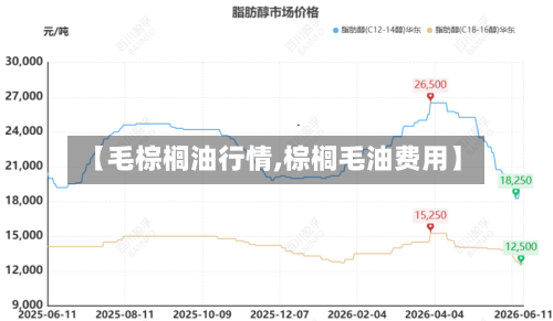 【毛棕榈油行情,棕榈毛油费用】
