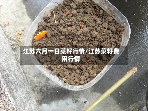 江苏六月一日菜籽行情/江苏菜籽费用行情