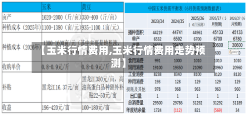 【玉米行情费用,玉米行情费用走势预测】-第3张图片
