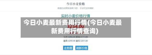 今日小麦最新费用行情(今日小麦最新费用行情查询)