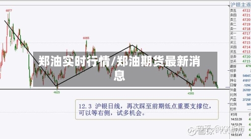 郑油实时行情/郑油期货最新消息