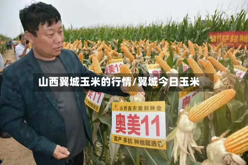 山西翼城玉米的行情/翼城今日玉米-第2张图片