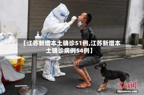 【江苏新增本土确诊51例,江苏新增本土确诊病例54例】-第3张图片