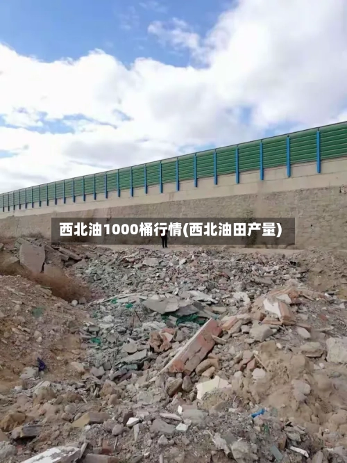 西北油1000桶行情(西北油田产量)