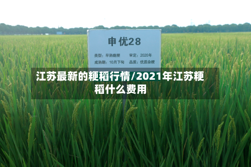 江苏最新的粳稻行情/2021年江苏粳稻什么费用
