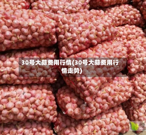 30号大蒜费用行情(30号大蒜费用行情走势)-第2张图片
