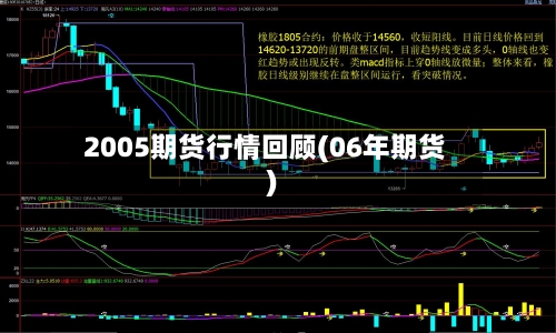 2005期货行情回顾(06年期货)