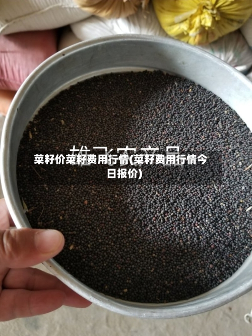 菜籽价菜籽费用行情(菜籽费用行情今日报价)-第2张图片