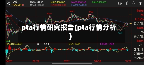 pta行情研究报告(pta行情分析)-第2张图片