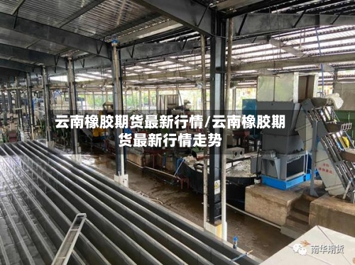 云南橡胶期货最新行情/云南橡胶期货最新行情走势