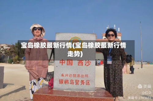 宝岛橡胶最新行情(宝岛橡胶最新行情走势)