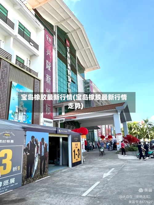 宝岛橡胶最新行情(宝岛橡胶最新行情走势)-第3张图片