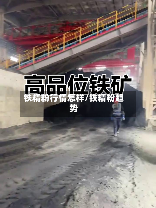 铁精粉行情怎样/铁精粉趋势-第3张图片
