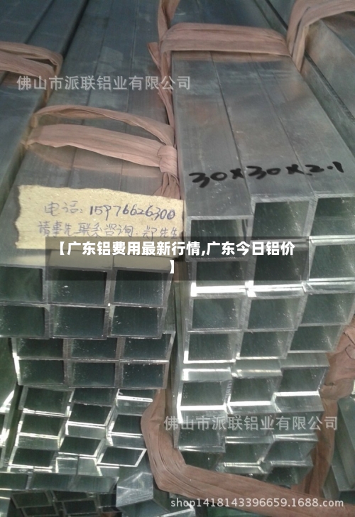 【广东铝费用最新行情,广东今日铝价】