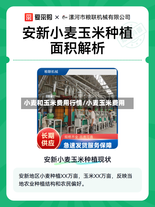 小麦和玉米费用行情/小麦玉米费用