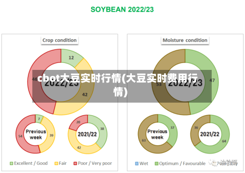 cbot大豆实时行情(大豆实时费用行情)