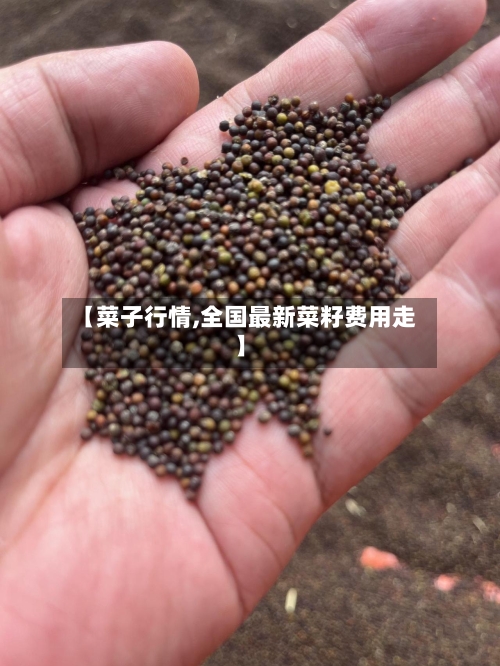【菜子行情,全国最新菜籽费用走】-第2张图片