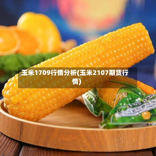 玉米1709行情分析(玉米2107期货行情)-第2张图片