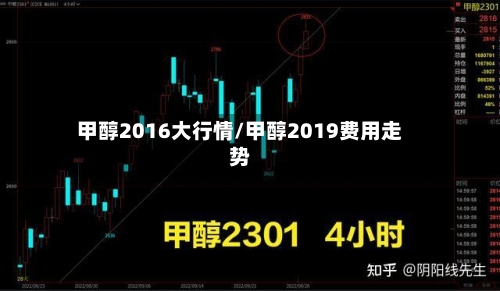 甲醇2016大行情/甲醇2019费用走势-第2张图片