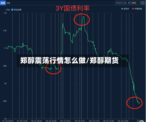 郑醇震荡行情怎么做/郑醇期货