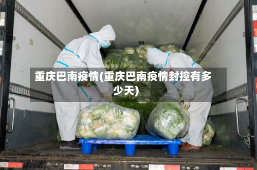 重庆巴南疫情(重庆巴南疫情封控有多少天)