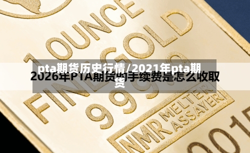 pta期货历史行情/2021年pta期货-第3张图片