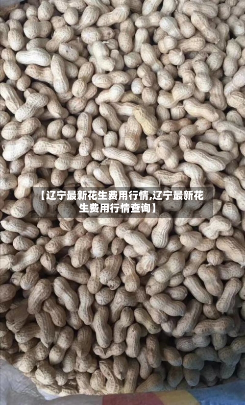 【辽宁最新花生费用行情,辽宁最新花生费用行情查询】
