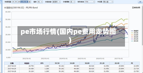pe市场行情(国内pe费用走势图)-第3张图片