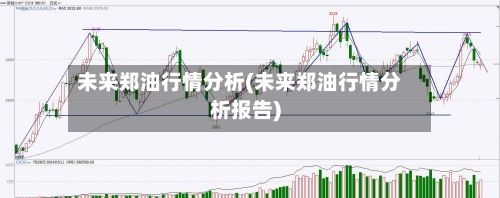 未来郑油行情分析(未来郑油行情分析报告)-第2张图片