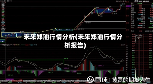未来郑油行情分析(未来郑油行情分析报告)-第3张图片