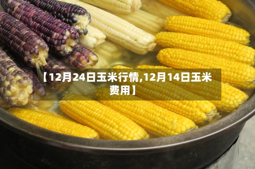 【12月24日玉米行情,12月14日玉米费用】-第2张图片