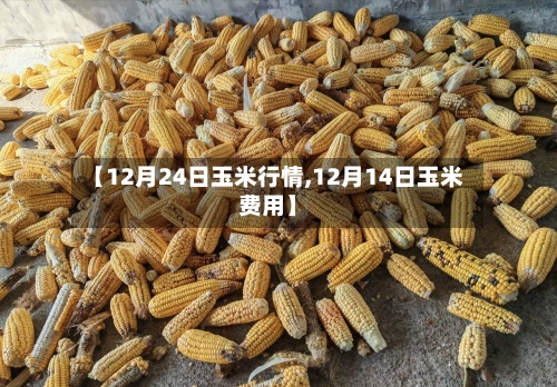 【12月24日玉米行情,12月14日玉米费用】