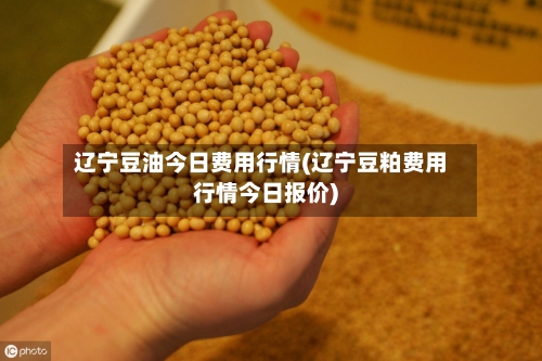 辽宁豆油今日费用行情(辽宁豆粕费用行情今日报价)-第3张图片