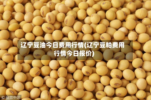 辽宁豆油今日费用行情(辽宁豆粕费用行情今日报价)