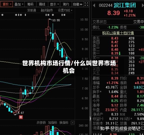 世界机构市场行情/什么叫世界市场机会