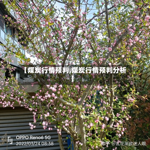 【煤炭行情预判,煤炭行情预判分析】-第2张图片