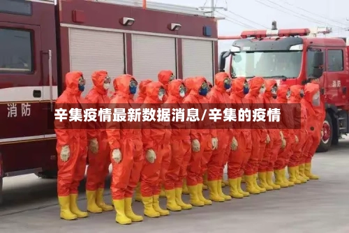 辛集疫情最新数据消息/辛集的疫情