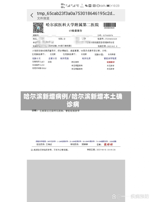 哈尔滨新增病例/哈尔滨新增本土确诊病-第3张图片