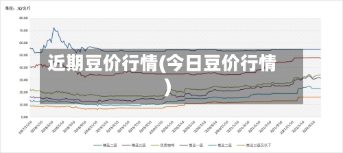 近期豆价行情(今日豆价行情)