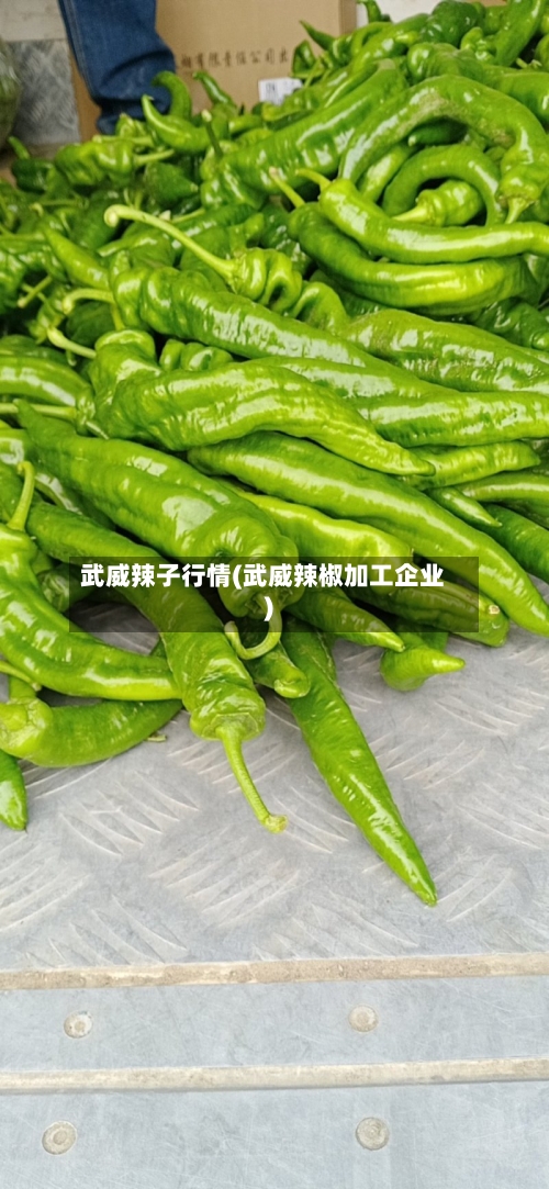 武威辣子行情(武威辣椒加工企业)