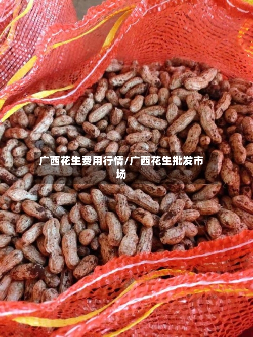 广西花生费用行情/广西花生批发市场-第2张图片