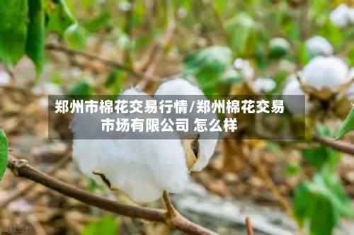 郑州市棉花交易行情/郑州棉花交易市场有限公司 怎么样