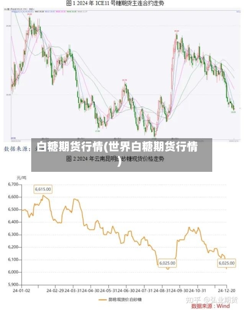 白糖期货行情(世界白糖期货行情)