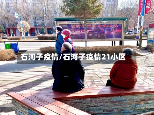 石河子疫情/石河子疫情21小区-第2张图片