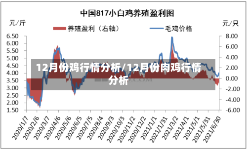 12月份鸡行情分析/12月份肉鸡行情分析
