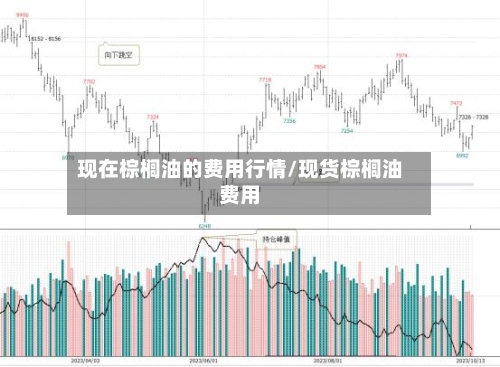 现在棕榈油的费用行情/现货棕榈油费用