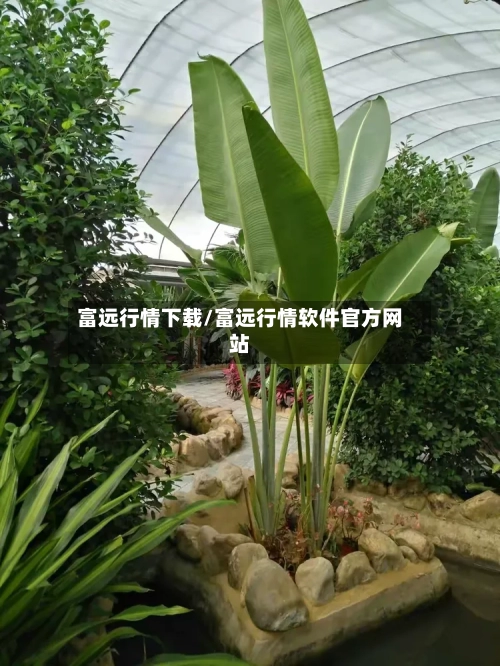 富远行情下载/富远行情软件官方网站